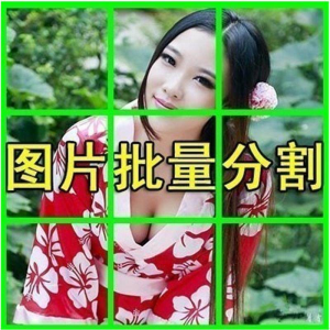 图片批量切割软件 图片批量分割工具 批量切图器 图片批量裁剪-淘宝虚拟仓