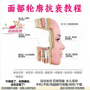 美商课程面部轮廓抗衰美肤减龄变美视频教程形象管理内在美好气色-淘宝虚拟货源网