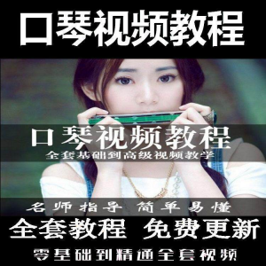 口琴自学教程视频零基础初学者入门到专业十孔24孔教学-淘宝虚拟货源网