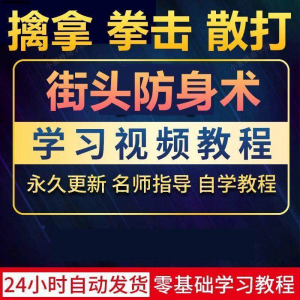街头防身术擒拿拳击散打视频教程全套入门自学零基础学习教程视频-淘宝虚拟货源网