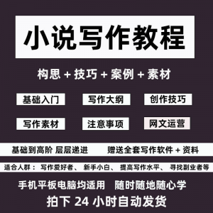 零基础小说写作教程网文新手创作技巧自学入门视频课素材大纲软件-淘宝虚拟货源网