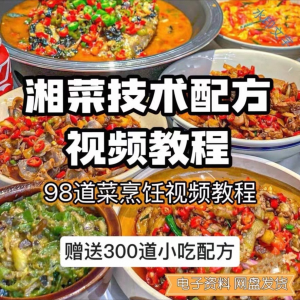 【0.01秒发】98道湘菜技术配方视频教程商用湖南菜炒菜特色小吃-淘宝虚拟货源网
