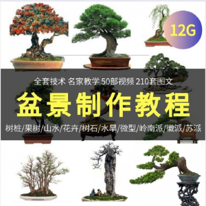 盆景制作技术视频教程工艺教学果树桩山水微型造型全套-淘宝虚拟货源网