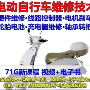 电动车维修视频自学教程零基础学习常见故障保养技术案例讲解大全-淘宝虚拟货源网