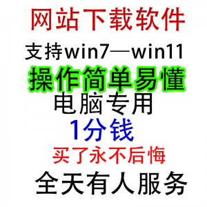扒站扒网站扒网页扒全站下载修改下载软件克隆工具抓取拷贝单页-淘宝虚拟货源网