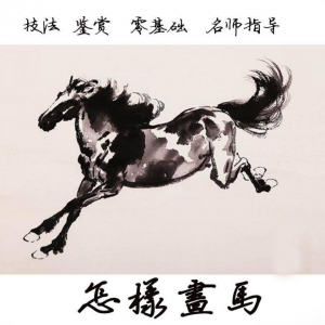 怎么画马视频教程教学自学画马技巧全套零基础入门到提高名水墨画-淘宝虚拟货源网