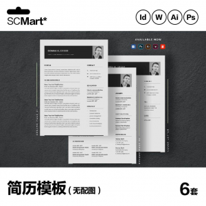 6套高级英文简历Word简历 ai psd设计师简历模板毕业生简历CV29-淘宝虚拟货源网