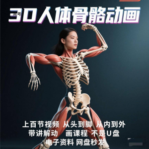 中医人体骨骼肌肉学习3D动态讲解演示视频自学零基础中医人体高考-淘宝虚拟货源网