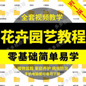 花卉园艺家庭养花盆栽苗圃栽培常识自学视频教程素材资料全套课程-淘宝虚拟货源网