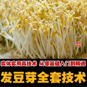 自学发豆芽技术资料豆芽加工制作方法教学 培育豆芽商用视频教程-淘宝虚拟货源网