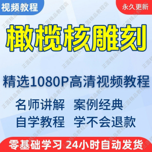 橄榄核雕刻视频学习教程新手自学零基础入门精通教学课程全集-淘宝虚拟货源网