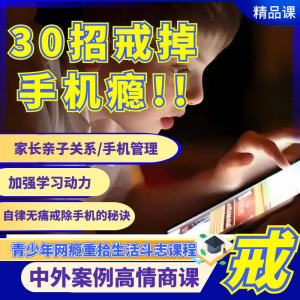 图片[1]-戒瘾网瘾视频教程全套管理技巧亲子关系学习动力在线课程-淘宝虚拟货源网