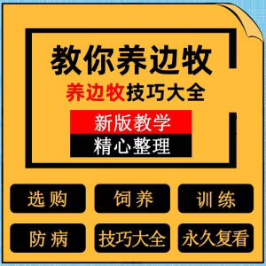 边牧训练方法教程边境牧羊犬驯养技术饲养喂养选购训犬技巧大全套-淘宝虚拟货源网