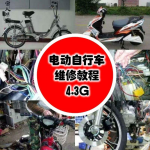 学电动车维修技术电动自行车维修技术电瓶修复技巧视频教程教学-淘宝虚拟货源网