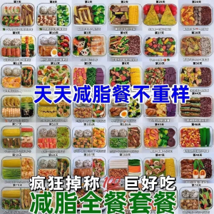 减肥食谱电子版课程 减脂餐一日三餐指导科学健康瘦身配餐计划-淘宝虚拟货源网