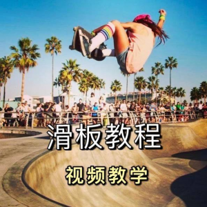 图片[1]-长板滑板双翘滑板教学视频教程初学者新手零基础入门自学花样刷街-淘宝虚拟货源网