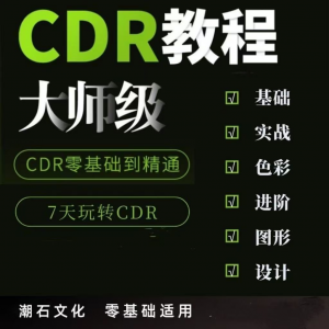 图片[1]-cdr教程视频Coreldraw自学平面设计广告排版零基础入门学习课程-淘宝虚拟货源网