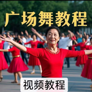 中老年广场舞视频下载高清视频教学打包MP4 MP3背面动作分解教程-淘宝虚拟货源网