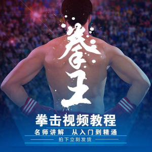 拳击教学视频 自学教程 训练零基础运动入门健身搏击格斗武术课程-淘宝虚拟货源网