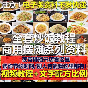 花式炒饭视频教程 泡菜蛋炒饭海鲜盖饭制作 特色小吃配方技术课程-淘宝虚拟货源网