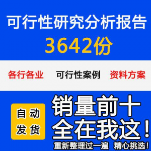 项目可行性研究分析报告案例品牌融资投资研究资料方案大全模板-淘宝虚拟货源网