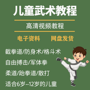 图片[1]-少儿童武术视频教程零基础自学咏春散打擒拿泰拳跆拳道防身术课程-淘宝虚拟货源网