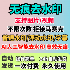 视频去水印软件无痕消除文字AI去除图片字幕水印处理手机电脑神器-淘宝虚拟货源网