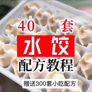 图片[1]-【0.01秒发】40套水饺技术配方 特制技术视频教程-淘宝虚拟货源网