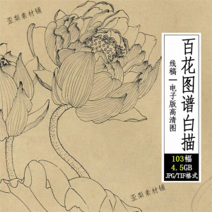 百花图谱白描线稿图集 国画花卉植103幅tif格式3.6G高清图片素材-淘宝虚拟货源网