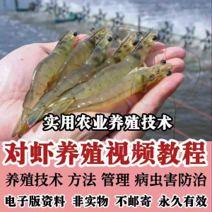 图片[1]-对虾养殖技术视频教学教程水质管理日常养护疾病防治南美白素材-淘宝虚拟货源网