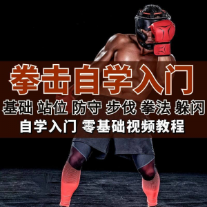 全套拳击指导视频教程自学零基础小白入门自卫搏击格斗防护资料-淘宝虚拟货源网