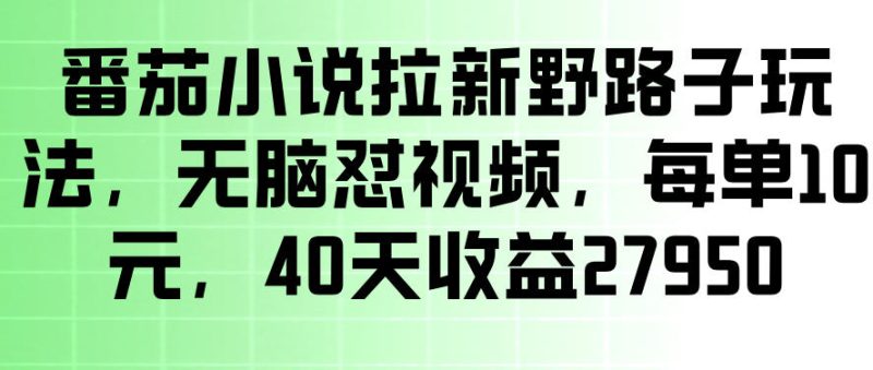 番茄小说拉新野路子玩法,无脑怼视频,玩法简单、见效快,每单10米,40天收益27950-淘宝虚拟货源网