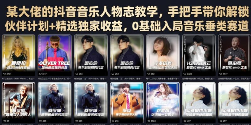 某大佬的抖音音乐人物志教学，手把手带你解锁伙伴计划+精选独家收益，0基础入局音乐垂类赛道-淘宝虚拟货源网
