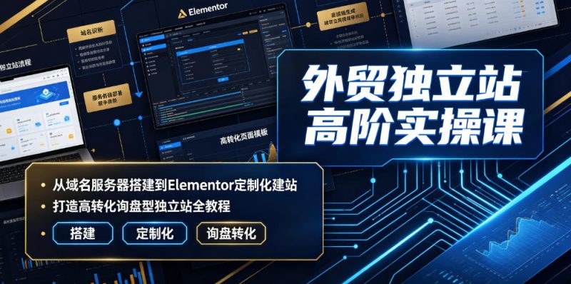 外贸独立站高阶实操课|从域名服务器搭建到Elementor定制化建站,打造高转化询盘型独立站全教程-淘宝虚拟货源网