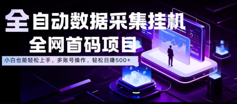 全自动数据采集挂G,全网首码项目,简单易操作,小白也能轻松上手,多账号操作,轻松日入500+【揭秘】-淘宝虚拟货源网
