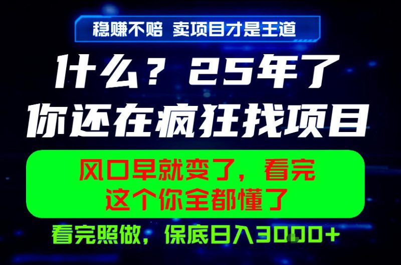 26年，请不要疯狂的找项目做了！卖项目才是真的稳賺不赔，看完照做，保底日入1k+【揭秘】-淘宝虚拟货源网