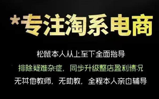 松鼠会电商VIP课程,从基础布局到高阶优化,助你掌握淘宝运营逻辑,提升店铺流量与转化-淘宝虚拟货源网