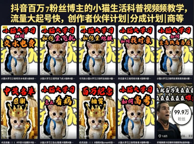 抖音百万粉丝博主的小猫生活科普视频教学,流量大起号快,创作者伙伴计划|分成计划|商单|收徒等-淘宝虚拟货源网