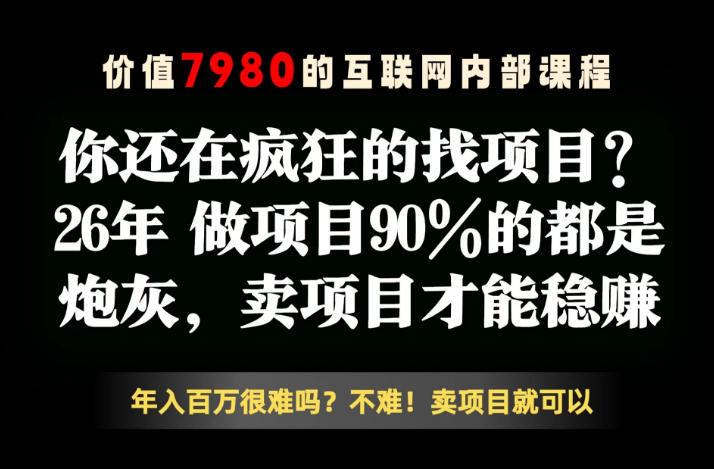 26年请不要疯狂的找项目了,卖项目远比你想象的暴利,你也可以月入10W+【揭秘】-淘宝虚拟货源网