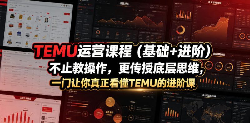 TEMU运营课程（基础+进阶），不止教操作，更传授底层思维，一门让你真正看懂TEMU的进阶课-淘宝虚拟货源网