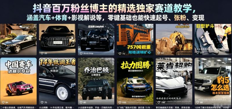抖音百万粉丝博主的精选独家赛道教学,涵盖汽车+体育+影视解说等,零基础也能快速起号、涨粉、变现-淘宝虚拟货源网